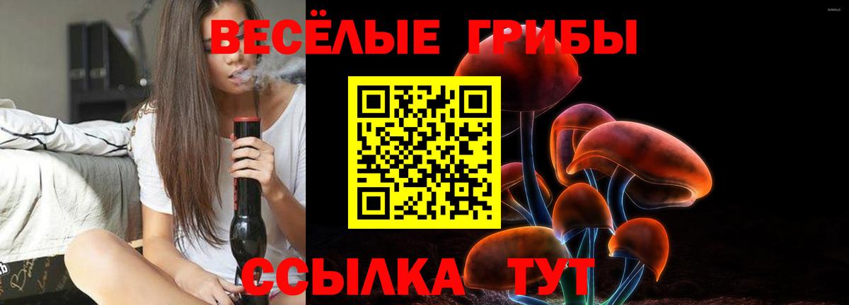 Карталы  Галлюциногенные грибы MAGIC MUSHROOMS  Псилоцибиновые грибы Psilocybe  Вход с VPN 